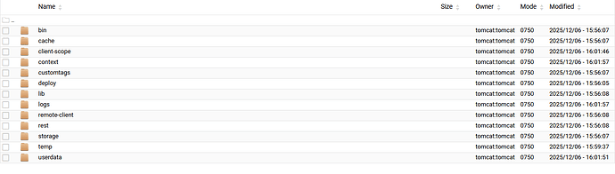 Screenshot 2025-12-06 160243