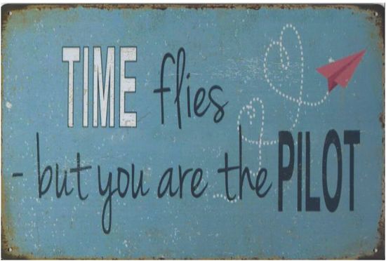 Image result for time flies but you are the pilot